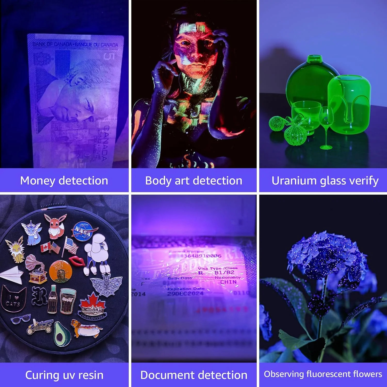 Lepro 395nm UV Black Light Flashlight with 21 LEDs, Portable Ultraviolet Stain Detector with AAA Batteries - Image 4